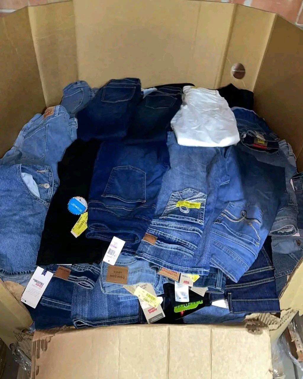 1000010125.jpg Ladies Jeans Pallets - Image 1