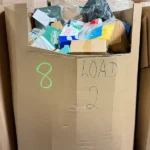 Amazon LPN High Count #8