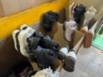ATHLETIC SHOES Export Pallet - Image 11